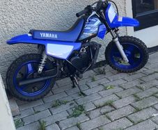 Pw 50