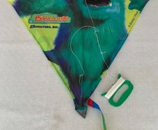 Kite