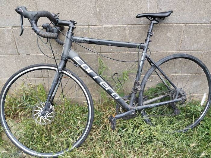 Carrera zelos needs repair