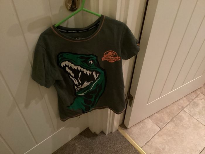 Jurassic world T-shirt age 8