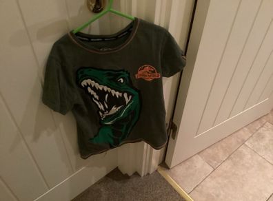 Jurassic world T-shirt age 8