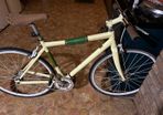 Felt Single Speed Urban Design, 7005 Super-lite will swop for Canadian canoe