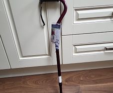 Walking stick new