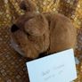 Jellycat Derreck Dog BNWT Image 6