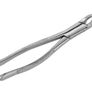 Dental Extracting Forceps Image 7
