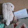 Jellycat Small Beige Bunny BNWT Image 2