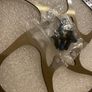 Disc brake rotor with screws Image 2