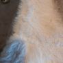 Brand new with tags cream hat Image 3