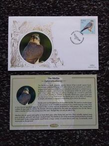 Ireland Stamps : Benham First Day Cover 2010 : The Merlin