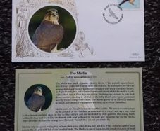 Ireland Stamps : Benham First Day Cover 2010 : The Merlin