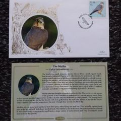 Ireland Stamps : Benham First Day Cover 2010 : The Merlin