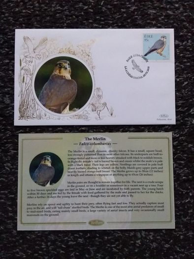 Ireland Stamps : Benham First Day Cover 2010 : The Merlin