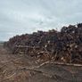 Timber logs Image 2