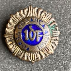 Irish Emergency period Badge
