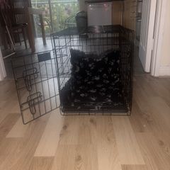 Dog Crate