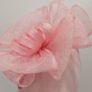 fascinator Image 7