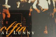 Donal Lunny - Coolfin.