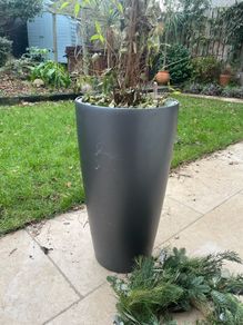 self watering pot