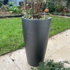 self watering pot