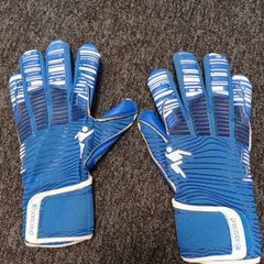Goalkeeper gloves Elite 2.0 size 9