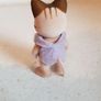 Sylvanian Families Beige Striped Cat Image 2