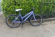 ladies. bike