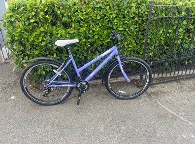 ladies. bike