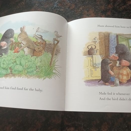 Mole and the Baby Bird