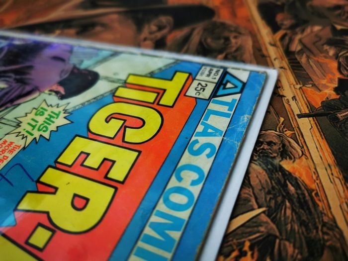 Tiger-man ! FIRST ISSUE ! Origin of Tiger-man ! Bronze Age Comic from 1975 ! by Atlas Seaboard !