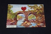 Ireland Postcard : The Old Weir Bridge , Killarney , Co. Kerry - 1906