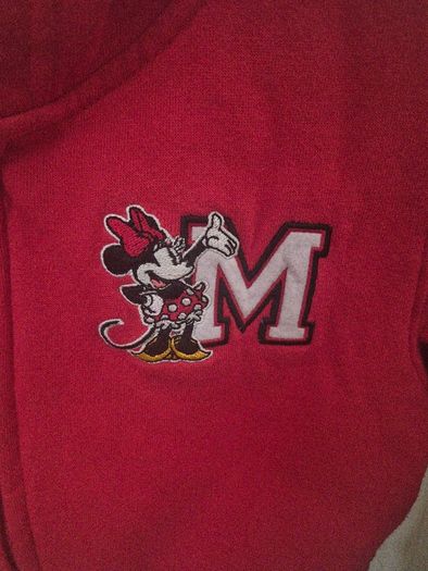 Disneyland paris mini hoodie