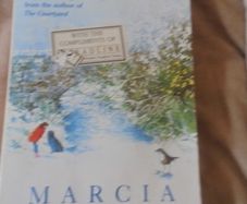 The Dipper by Marcia Willett Book for Sale