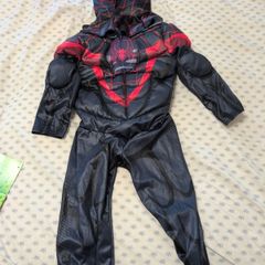 Spiderman Costume