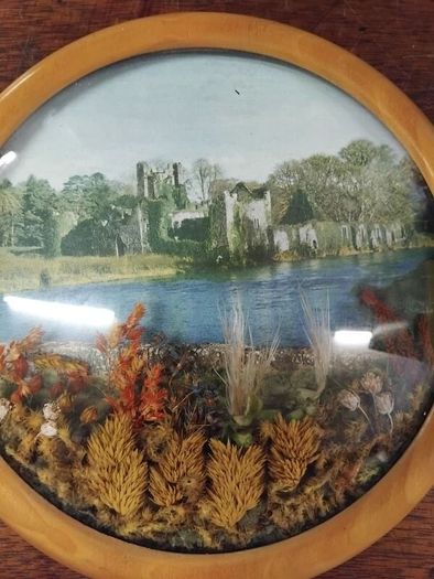 Desmond Castle Adare Limerick