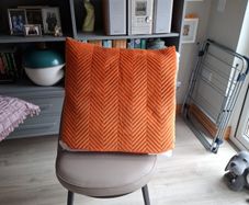 Cushion x 2