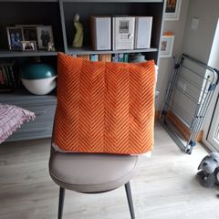 Cushion x 2