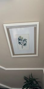 Paul Costello wild flower Pictures
