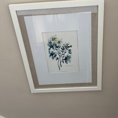 Paul Costello wild flower Pictures