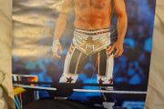 WWE Cody Rhodes Poster