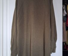 Winter Dress