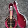 Mandolin Image 5