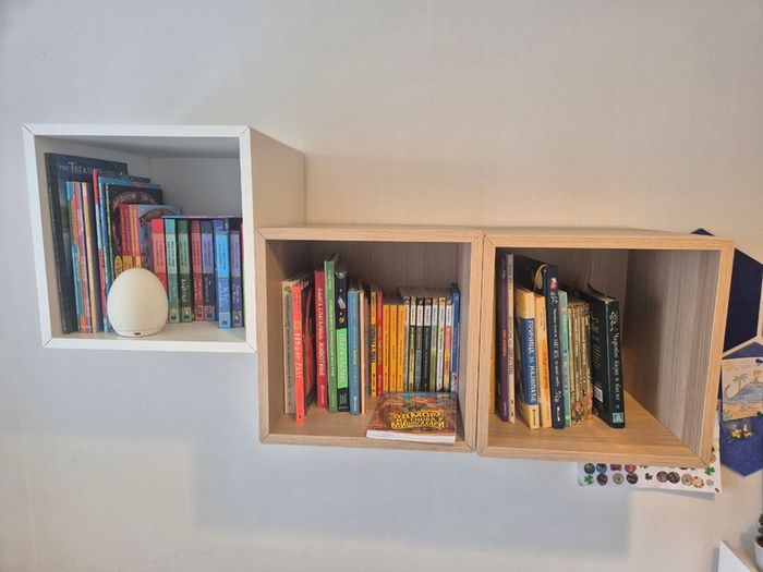 3x Wall-mounted Shelving Unit