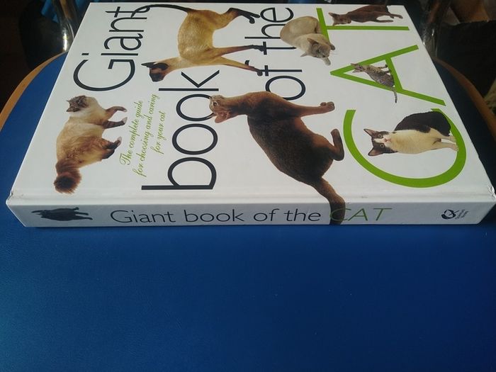 Giant Book of the Cat