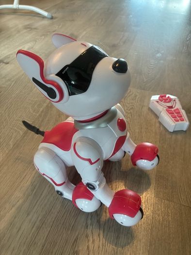 Zoey the Robo Dog