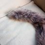 Fur Collar (Genuine Fur) Coyote Image 3