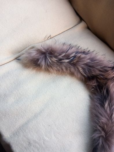 Fur Collar (Genuine Fur) Coyote