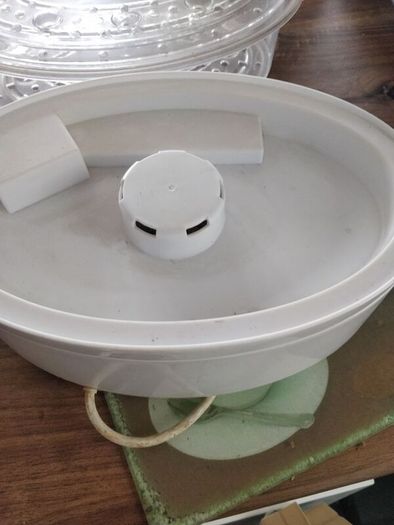 Electric steamer