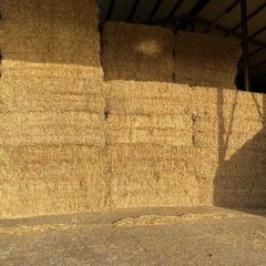 Barley straw 8x4x3