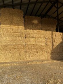 Barley straw 8x4x3