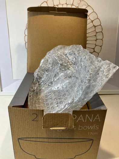 New Campana Glass Serving Bowls (Box of 2)